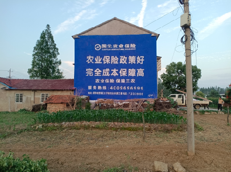 兰坪墙体广告的优劣势你知道吗？